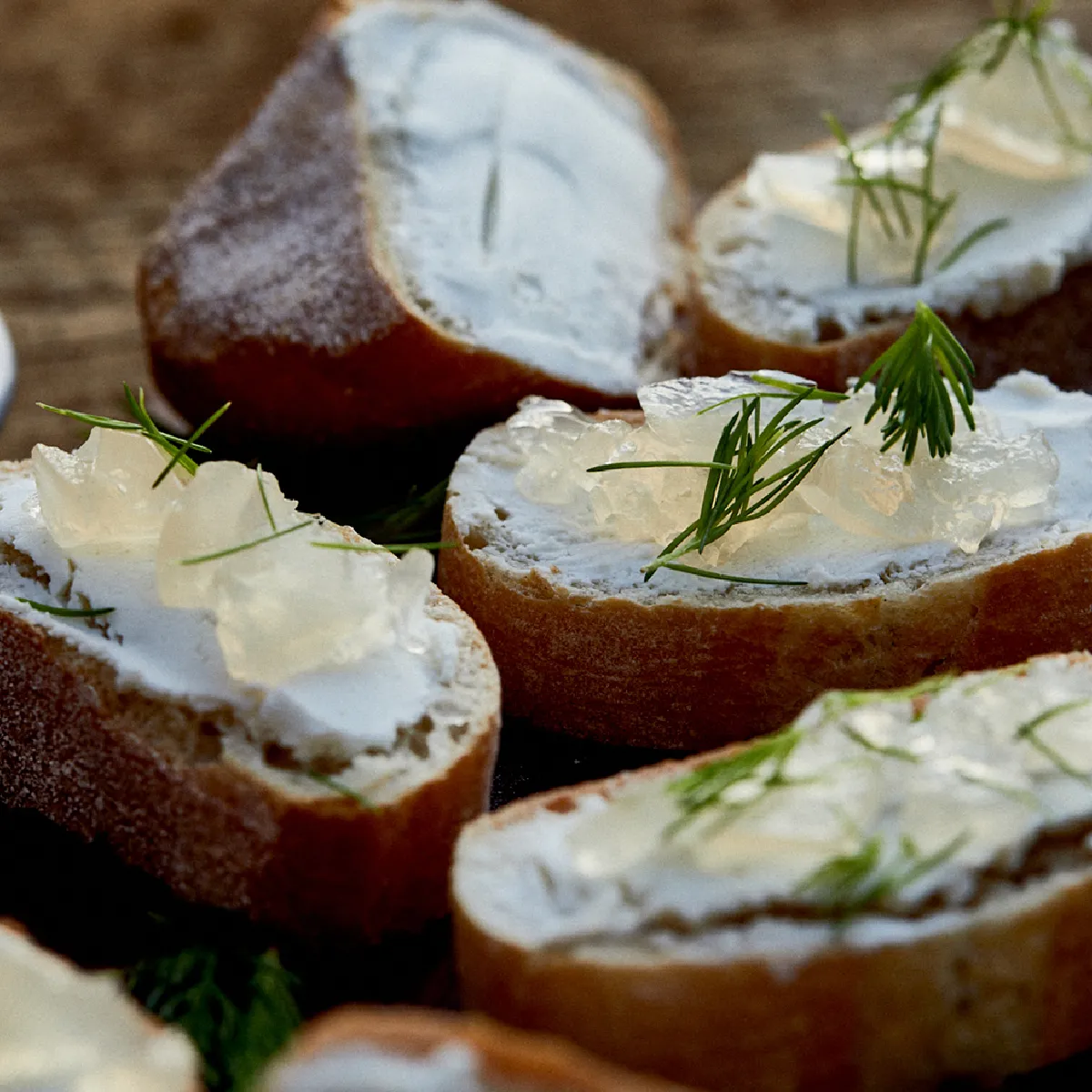 Fette di baguette croccante spalmate con formaggio morbido bianco, sormontate da una gelatina pallida e traslucida e da piccole punte di abete verdi su un tagliere di legno.