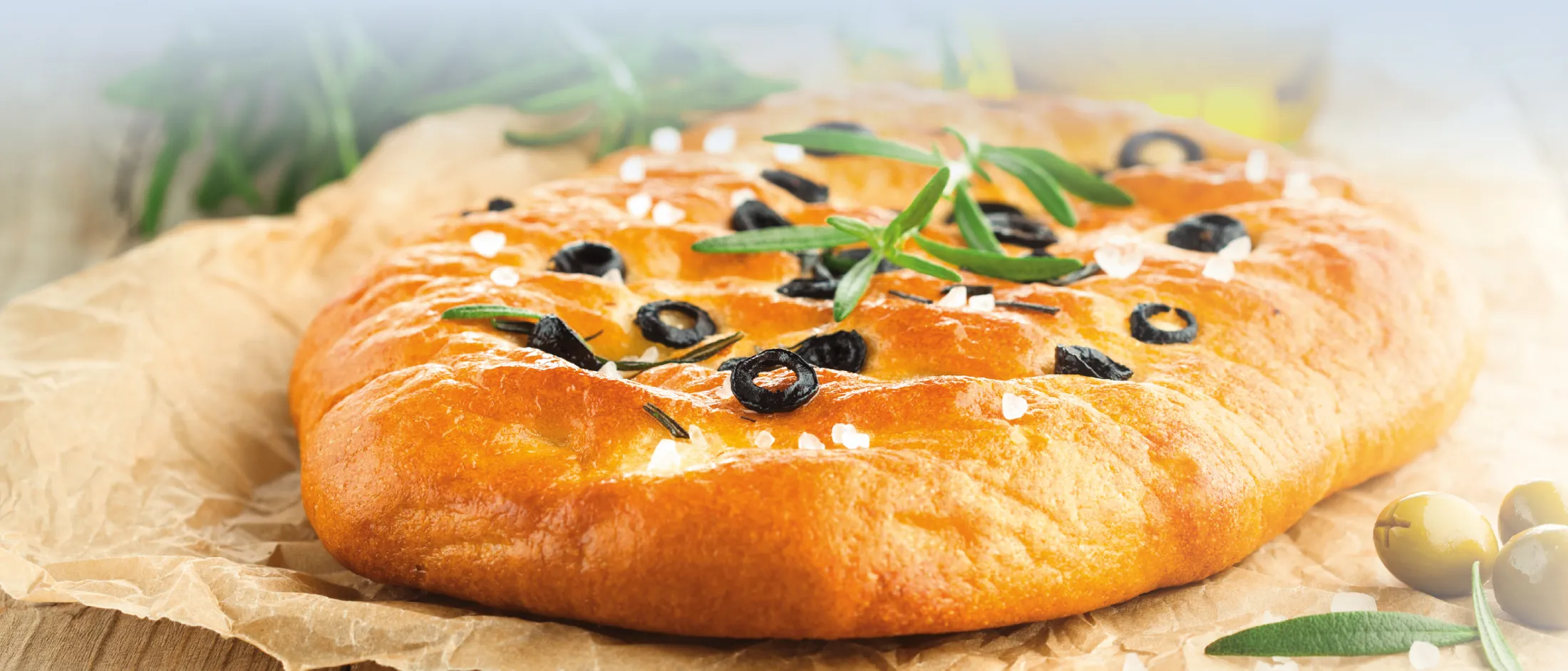 Flach gebackenes Focaccia-Brot mit schwarzen Oliven und Rosmarinzweigen auf Backpapier.
