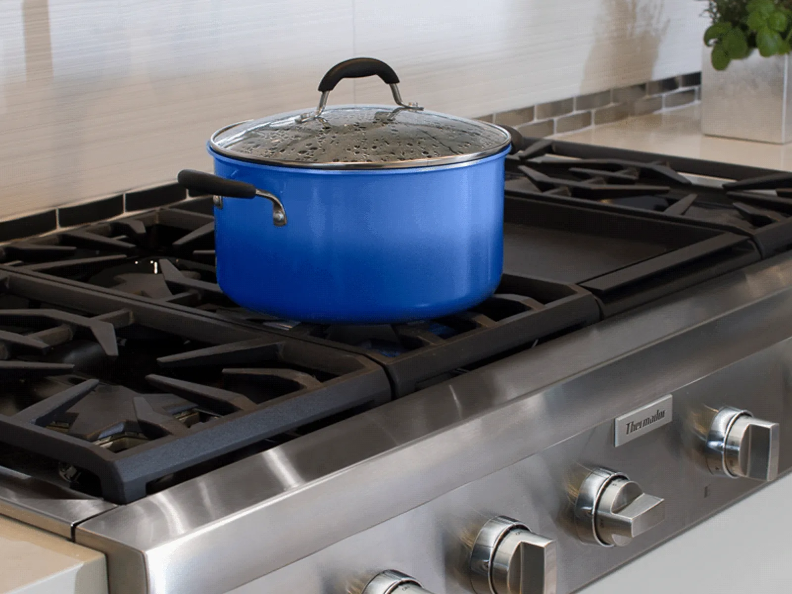 Blue saucepan with a glass lid sitting on an active burner of a stainless-steel gas range in a modern kitchen with a tiled backsplash and a small potted
