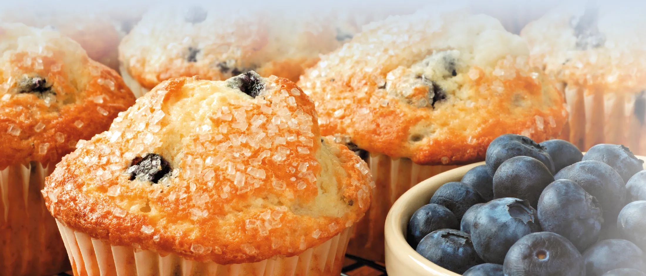 Mehrere Muffins mit Zuckerstreuseln und Blaubeeren in einer Schale nebeneinander.
