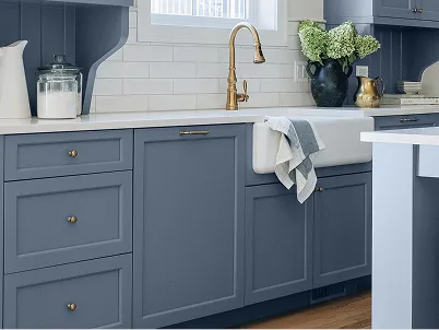 Custom Panel Dishwashers
