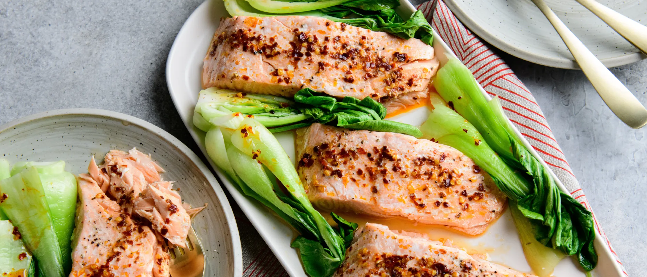 Plate of seasoned cooked salmon fillets with bok choy, next to a smaller plate with salmon and bok choy on a grey surface.