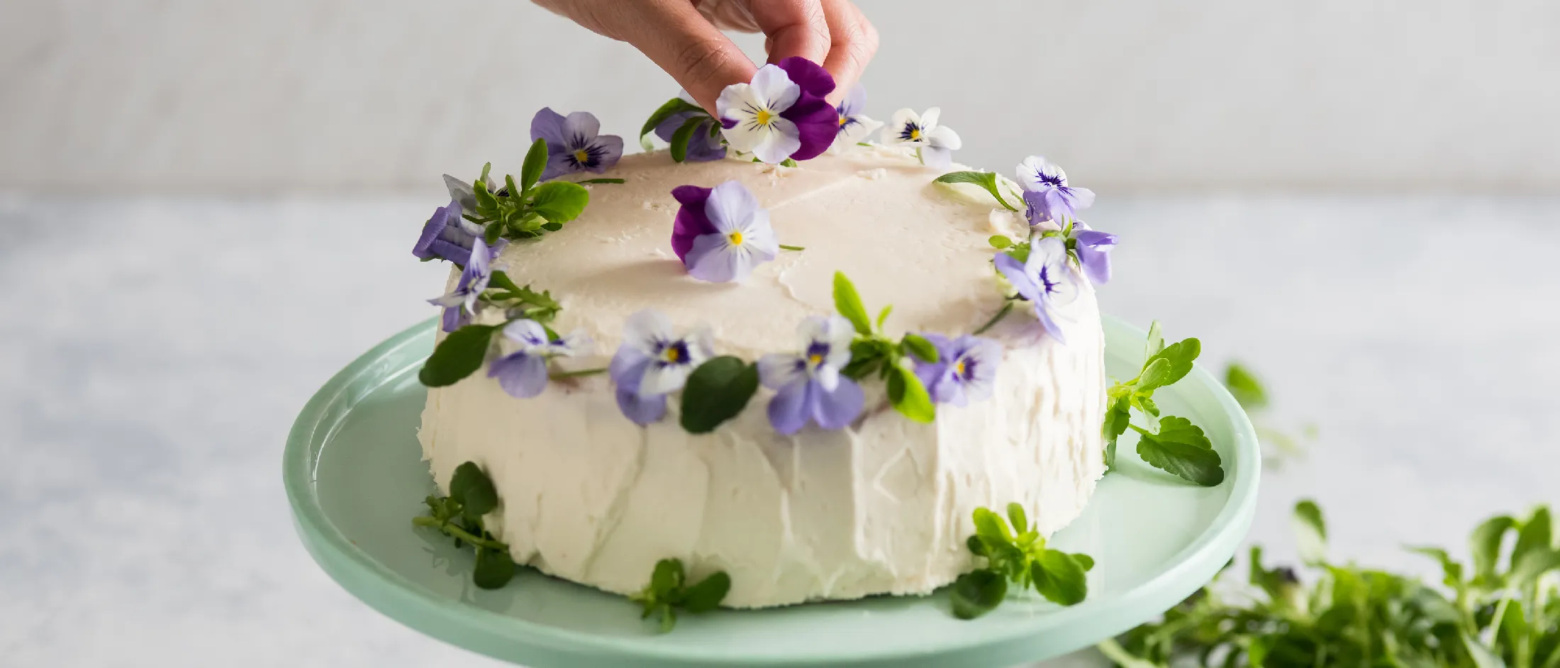 Round cake with white frosting decorated with edible purple and white viola flowers and green leaves on a pale green cake stand