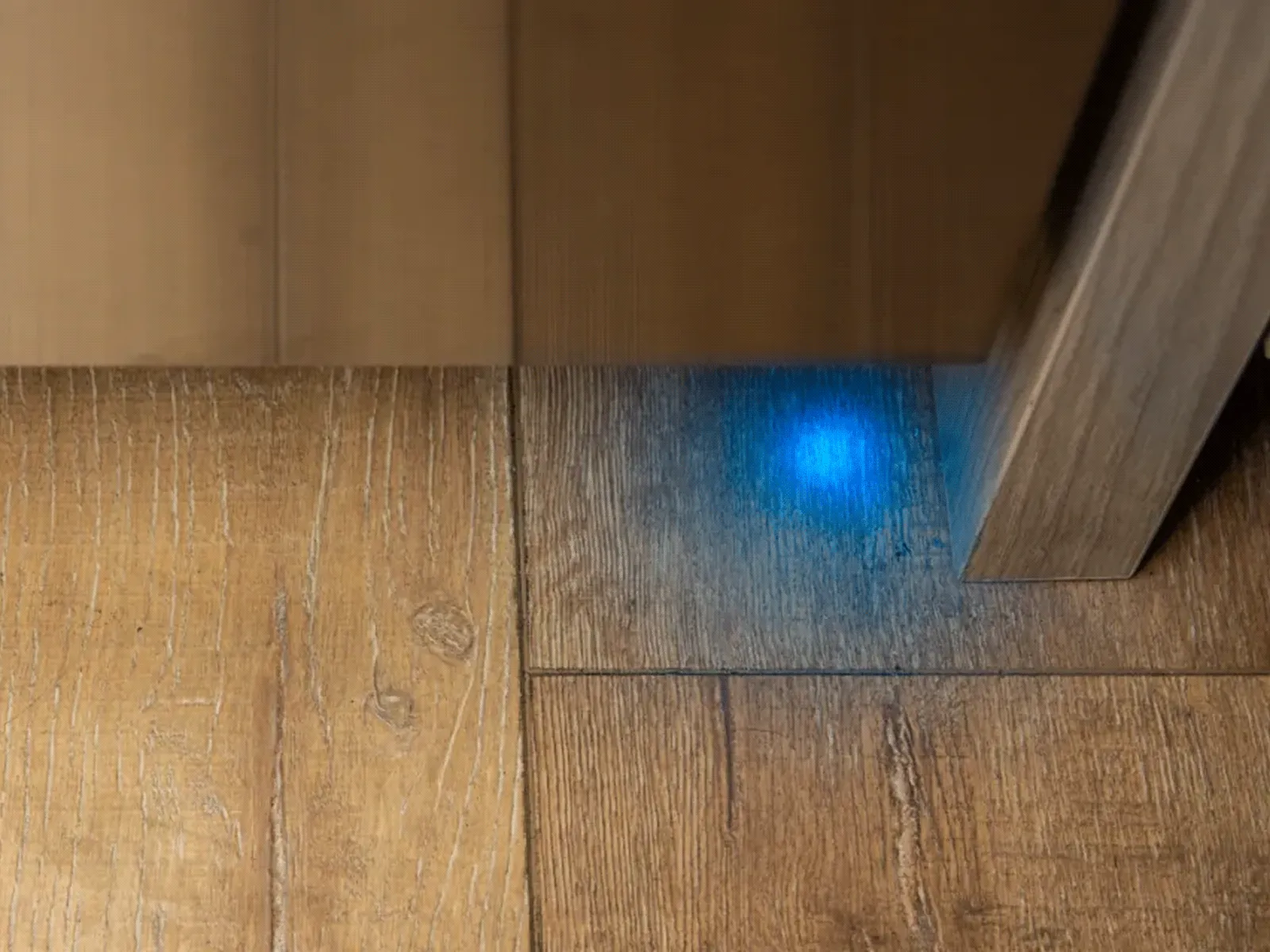 Blue PowerBeam®