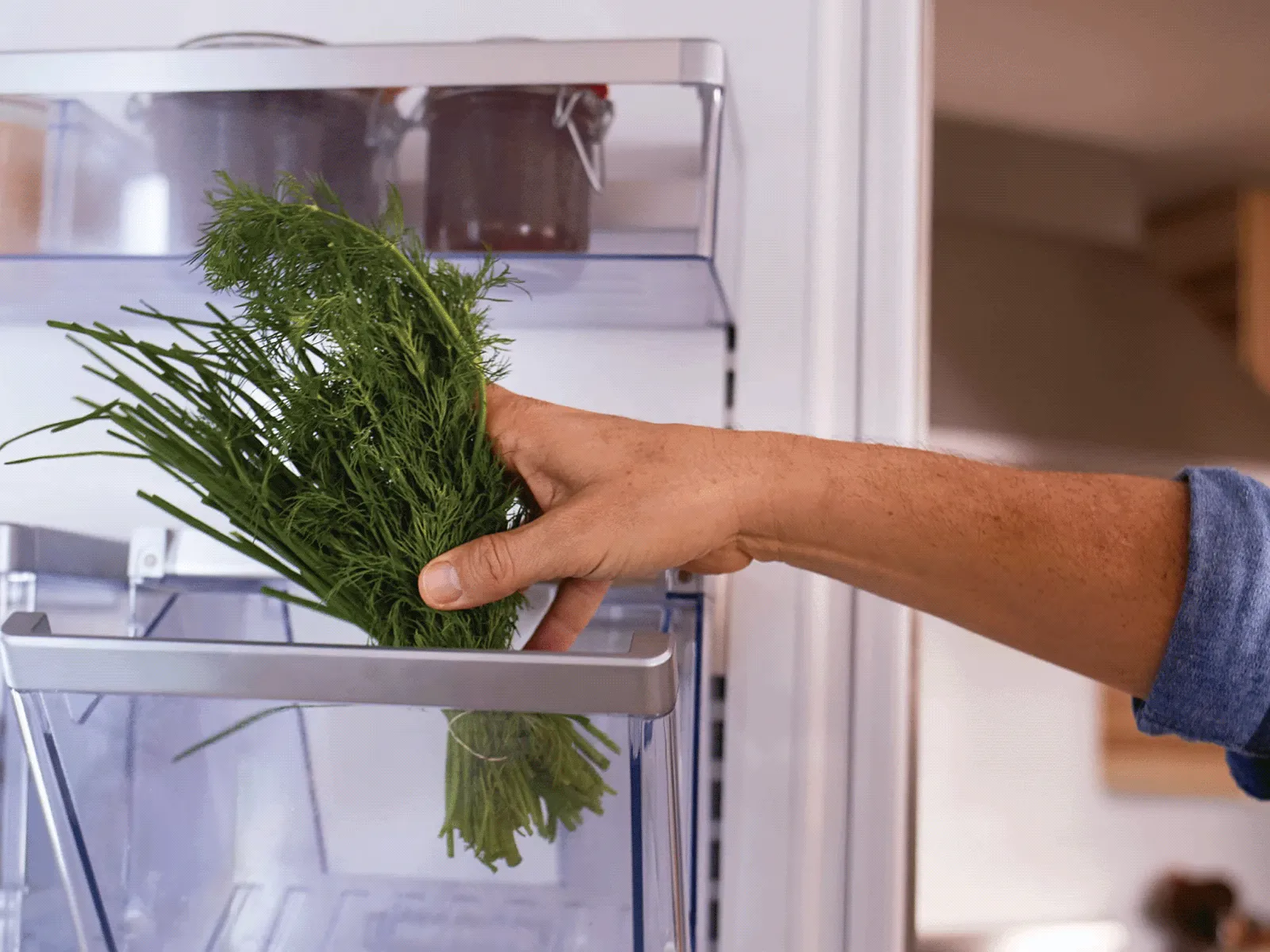 Close-up of a person’s hand placing a bundle of fresh dill into a refrigerator crisper drawer; the open fridge shelves with containers are visible in the