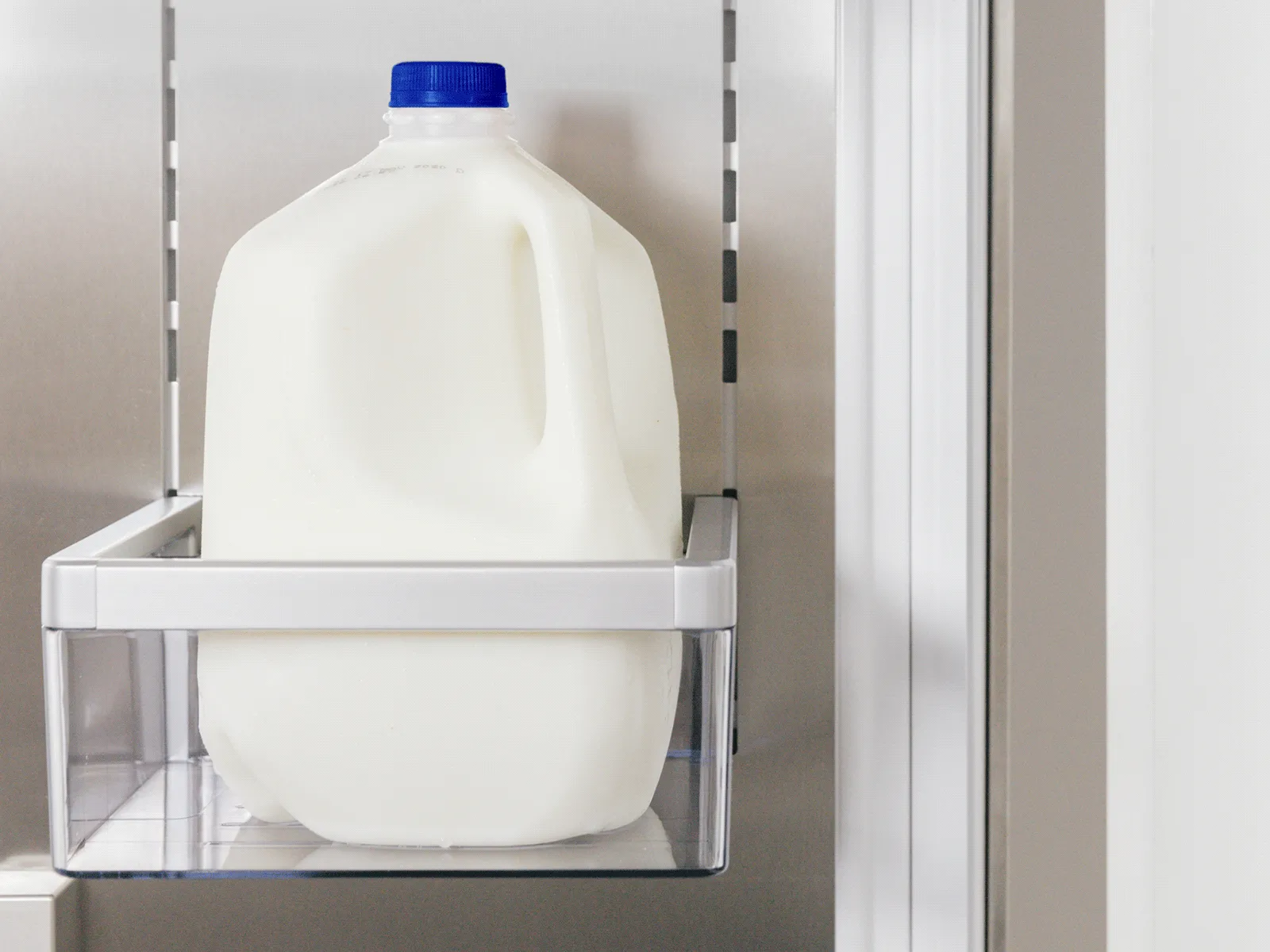Interior of an open refrigerator door focusing on a clear plastic shelf holding a gallon jug of milk with a blue cap; a small clear bin with condiments sits on the shelf above and the stainless-steel refrigerator interior is visible to the right.