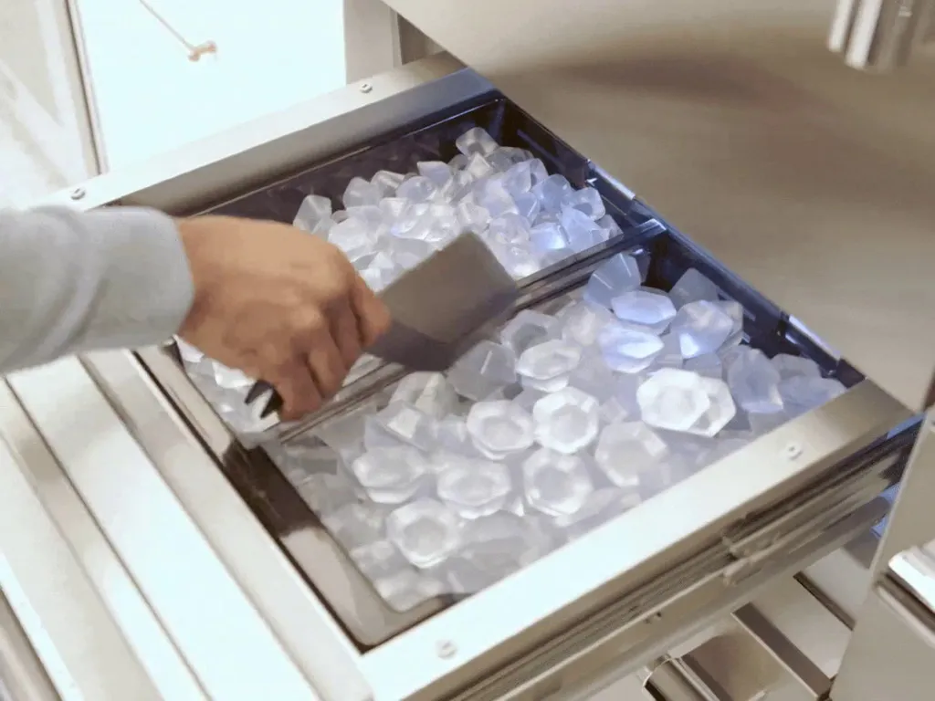 Dual Ice Makers for Elevated Entertaining