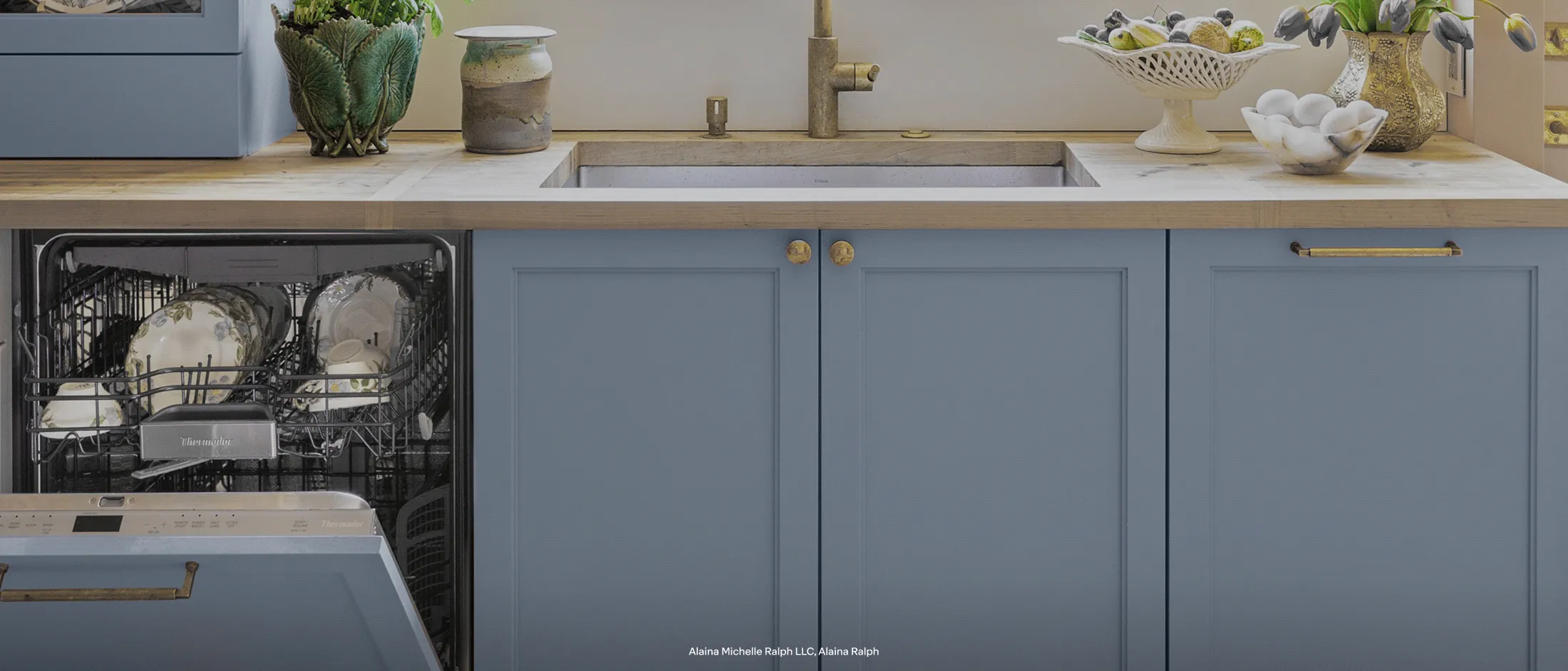 Thermador Dishwasher