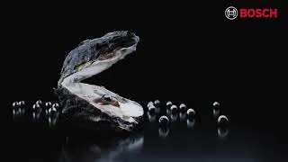 An open oyster shell with a pearl inside, surrounded by loose pearls, against a dark background, with the Bosch logo in the top right corner.