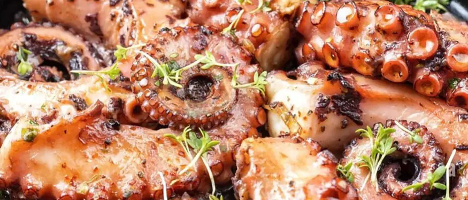 Cooking instruction of Grilled Spanish Octopus