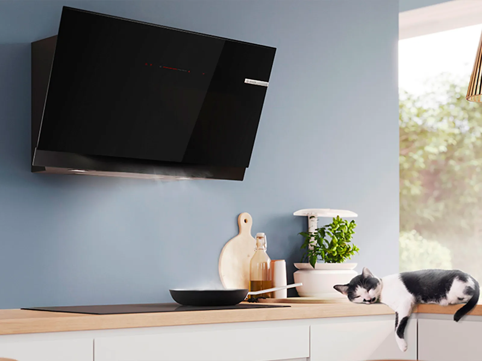 A modern black kitchen hood mounted on a wall above a stove with a cat resting on the counter.