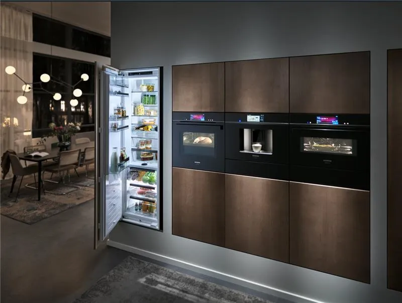 Modern Siemens kitchen