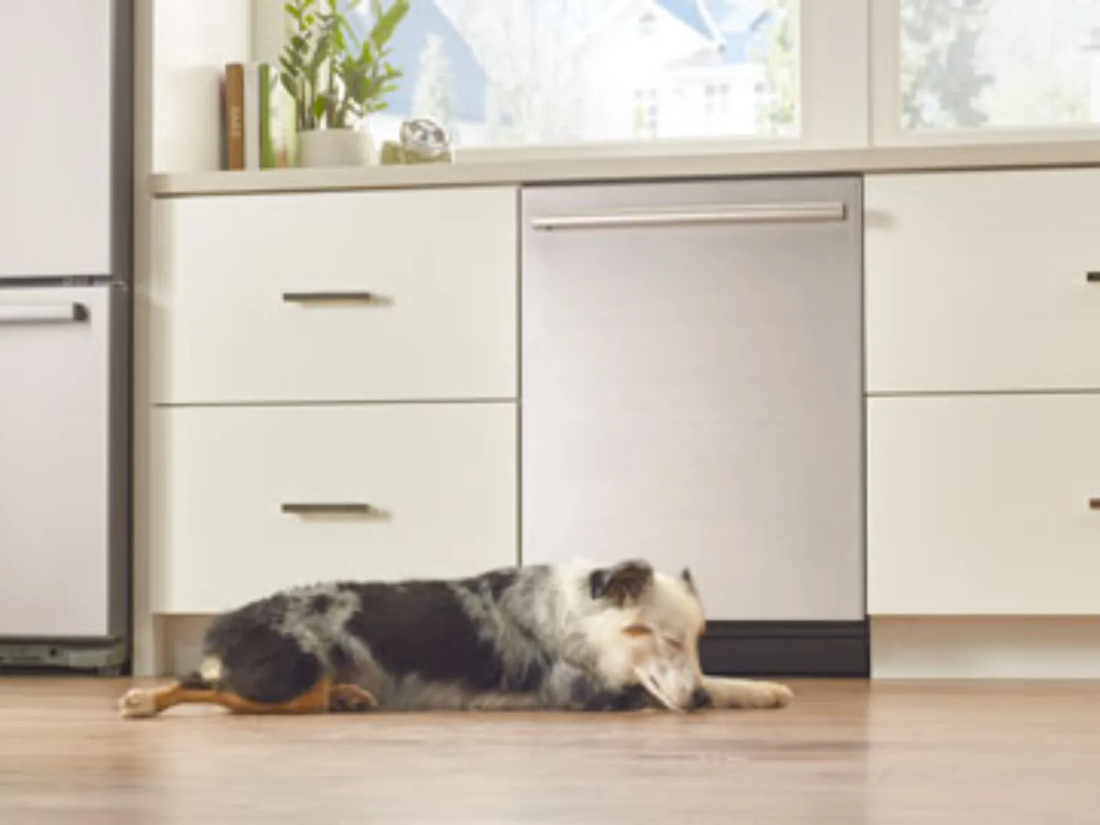Bosch powerfully quiet dishwashers