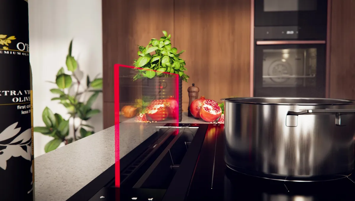 Kitchen counter with cooking appliances, plants, and pomegranates.