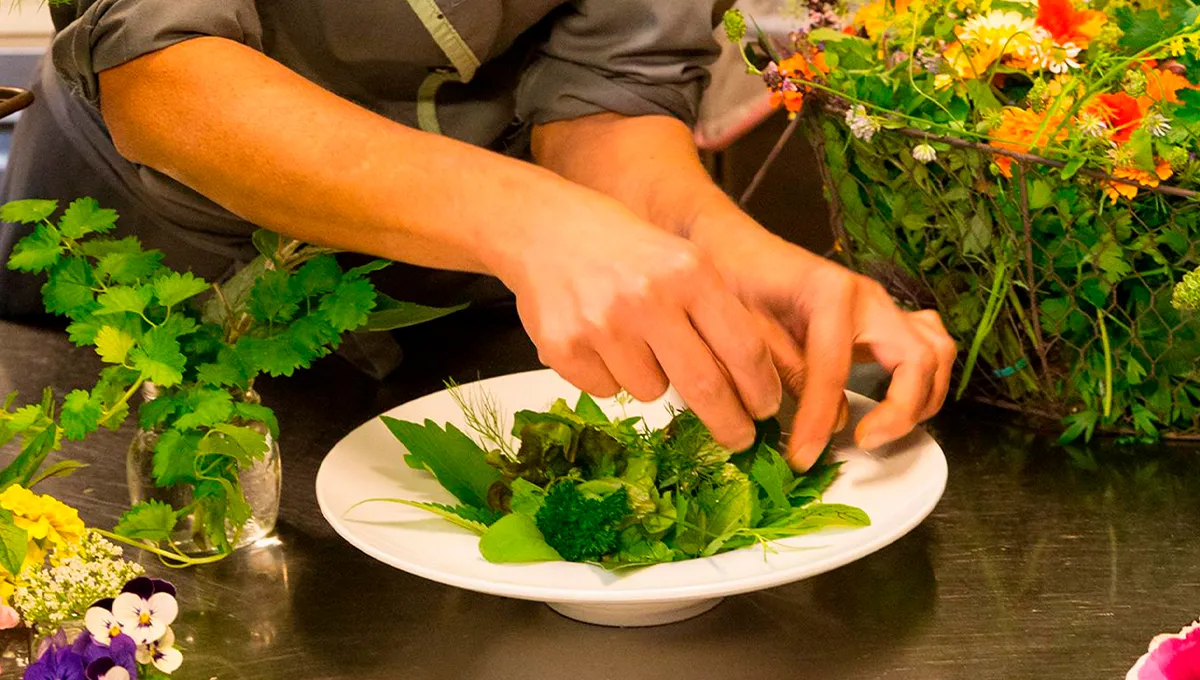 A close-up of a chef's hands artfully arranging a delicate salad with fresh herbs and edible flowers on a white plate, surrounded by a bounty of fresh greenery.