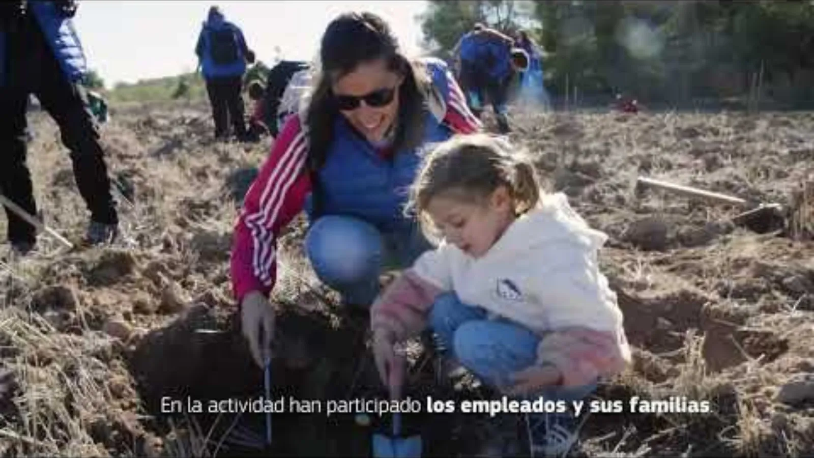El Bosque Balay. El Bosque de los Zaragozanos