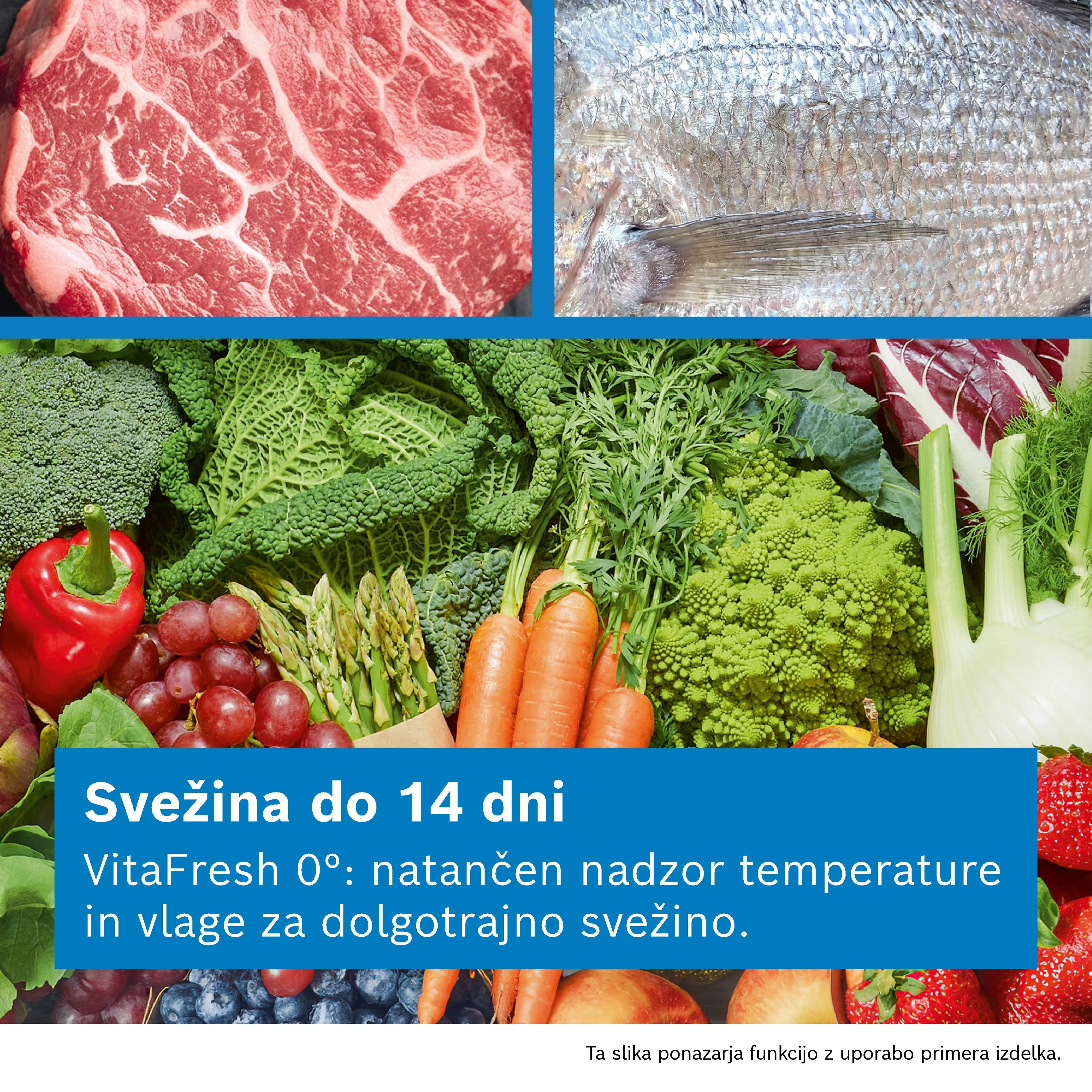 Fotografija št. 8 produkta KSN36VLDG