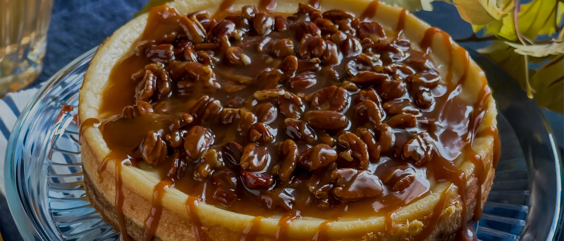 Pecan cheesecake freshly baked on a plate