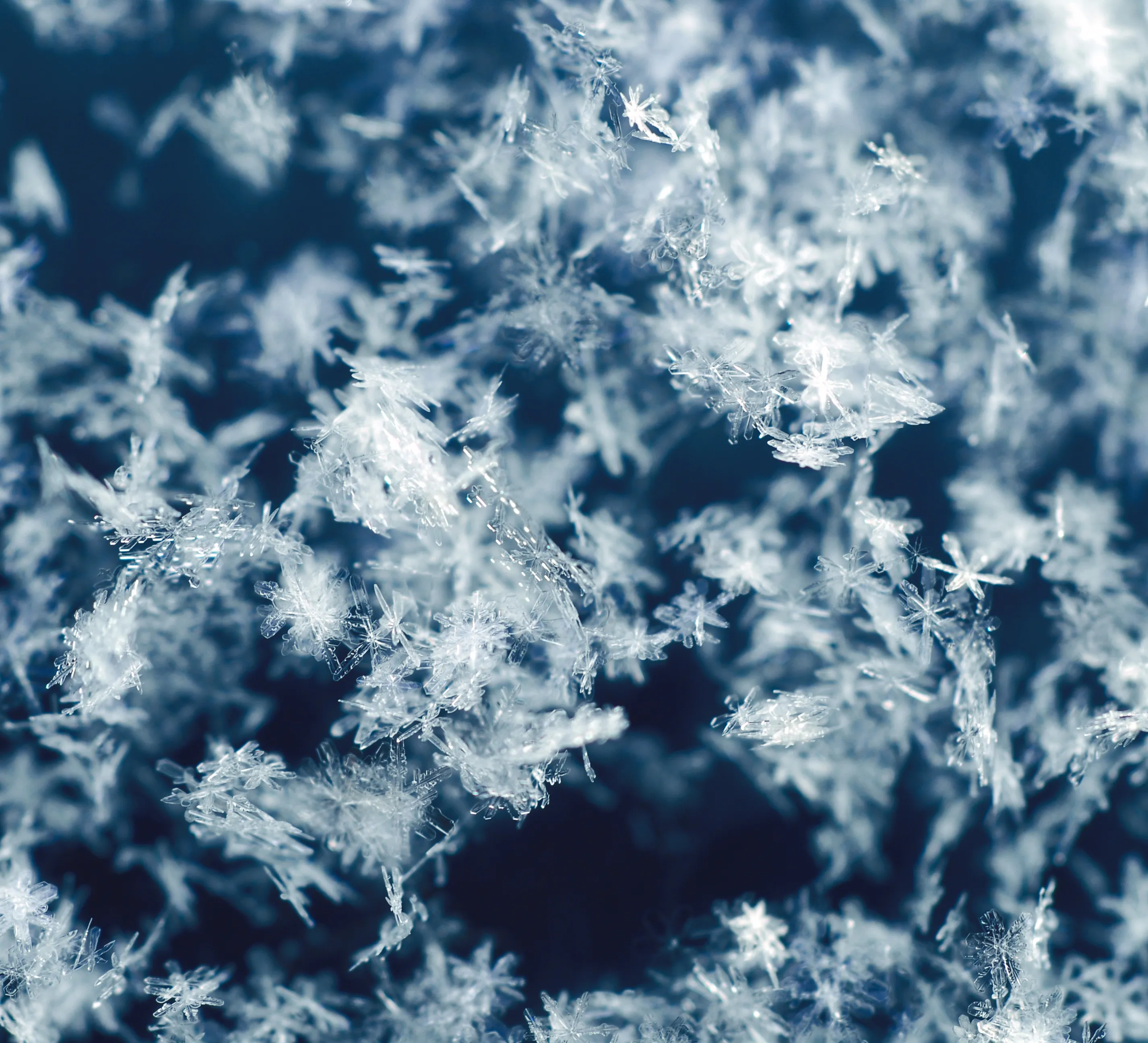 Nahaufnahme feiner Schneeflocken auf dunkelblauem Hintergrund.