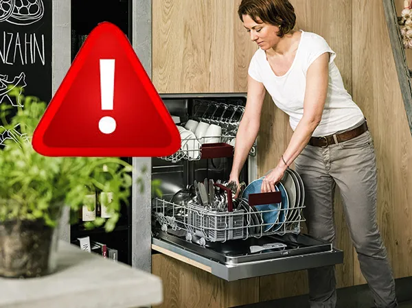 alt-Dishwasher repair action