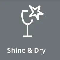 Многообещающая опция Shine&Dry