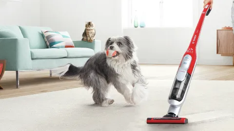 vacuum