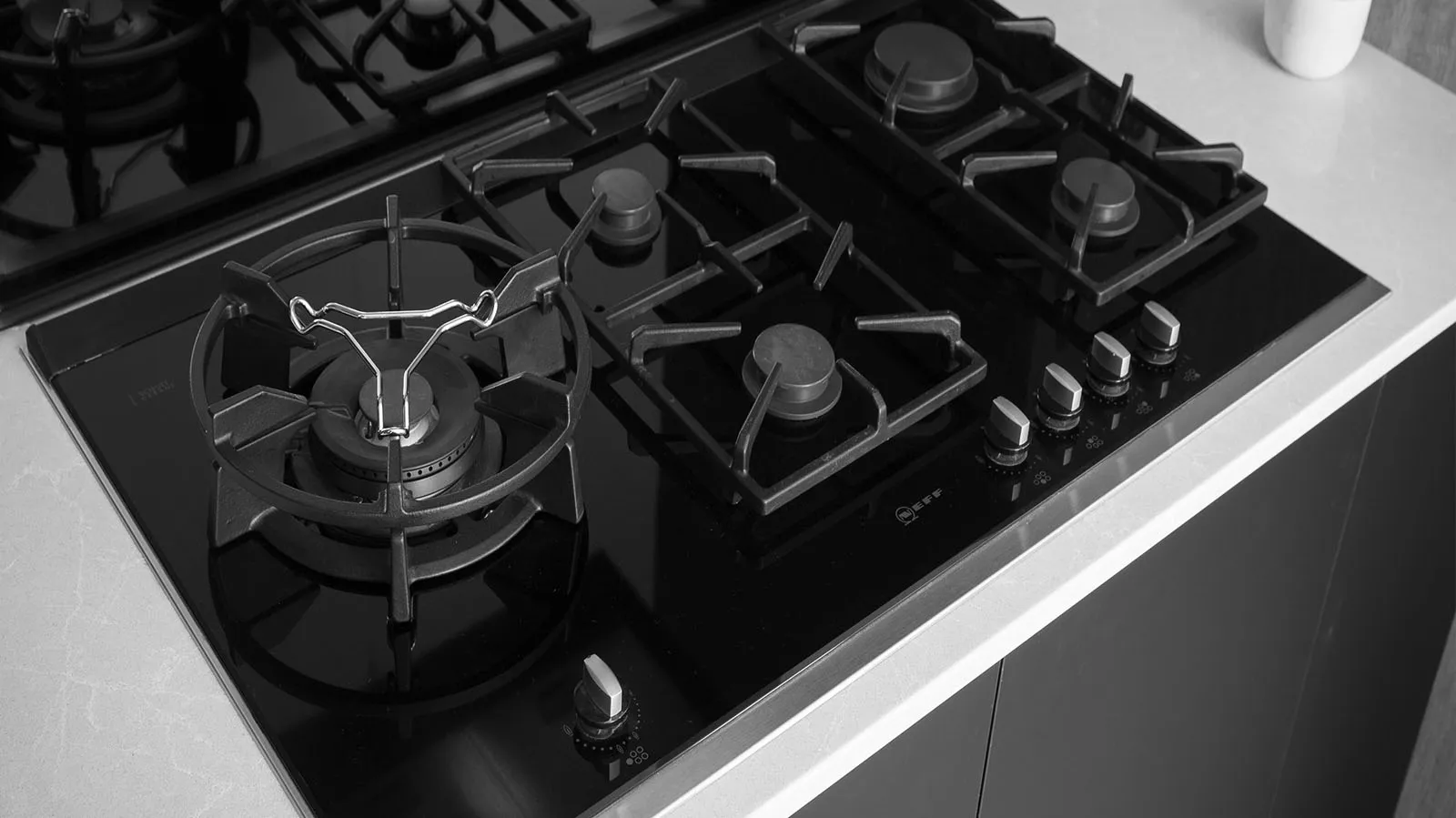 The cooktop.