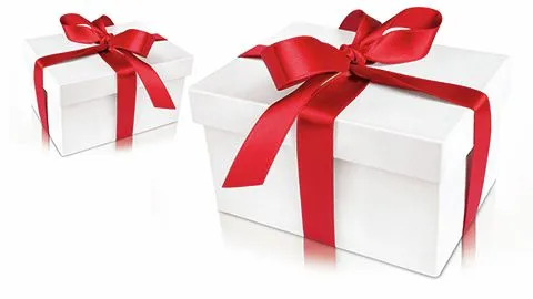 Two white gift boxes with red ribbon bows.