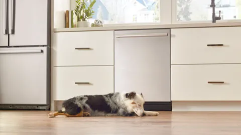 Dog resting on kitchen floor in front of Bosch stainless steel dishwasher, Bosch refrigerator and white cabinets.