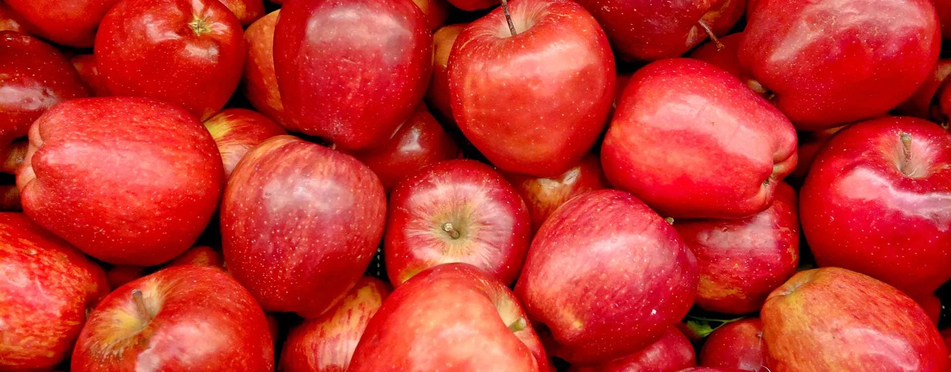 Apples