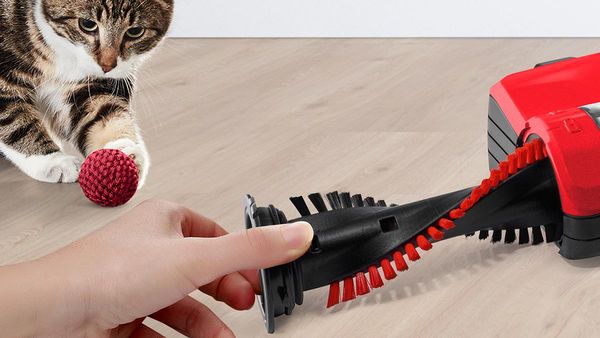 Die B&uuml;rste eines Staubsaugers wird gewechselt. Eine Katze spielt im Hintergrund.