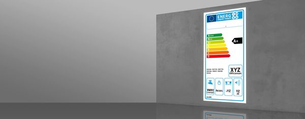Das derzeitige Energielabel