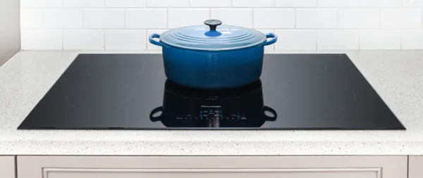 equipment - Why this cooking pot not working on my Induction