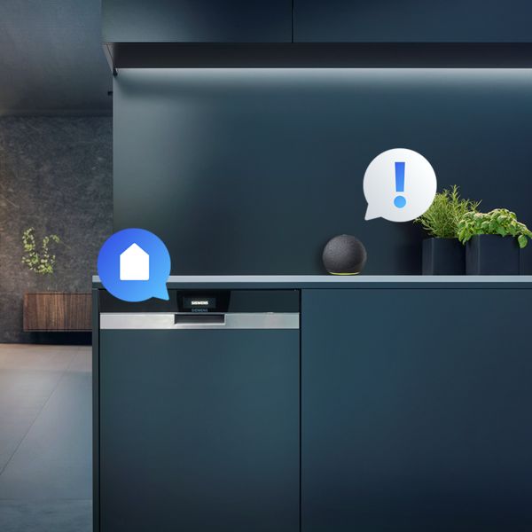 Amazon Echo placed on a kitchen counter above a Siemens dishwasher