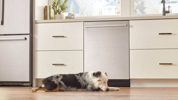 Dog sleeping in front of a dishwasher