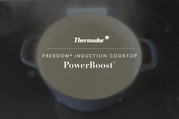 PowerBoost Freedom Induction Cooktop
