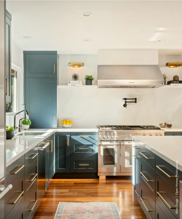 dark teal stainless kitchen