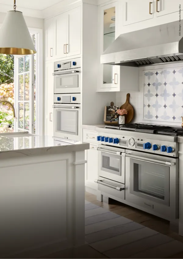 professional collection kitchen range and wall oven