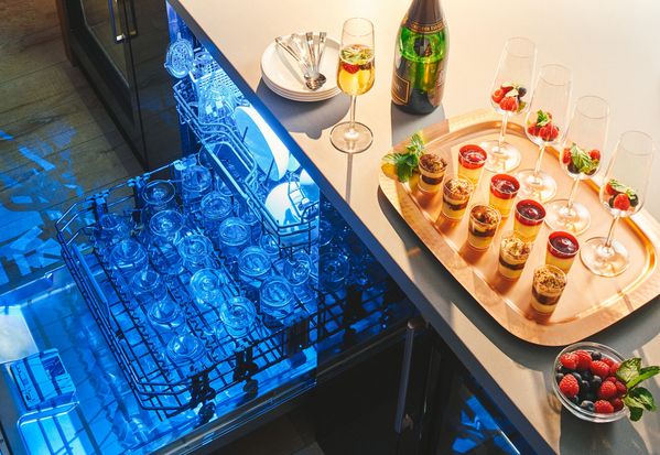 Thermador dishwasher and canapes on counter