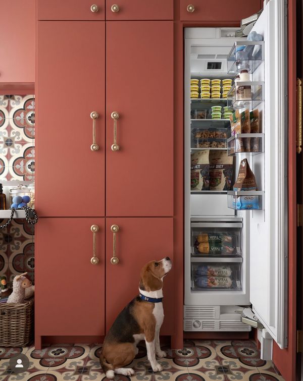 Terracotta cabinets with dog-Thermador fridge column 