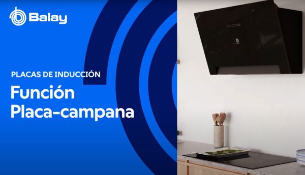 Funcion Placa Campana