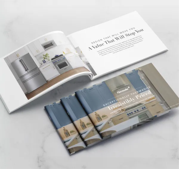 Leap Into Luxury Brochure