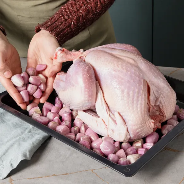 Eine ganze rohe Pute mit einem Bratenthermometer auf einem Backblech, das in einen geöffneten Backofen geschoben wird.