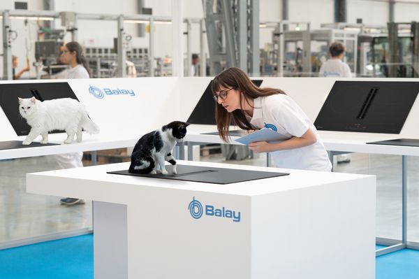 Una trabajadora de Balay en la f&aacute;brica observando una placa con extractor integrado, con dos gatos generados por Inteligencia Artificial.