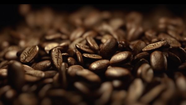 Para siedzi na ł&oacute;żku przy oknie, piją kawę, roślina w tle.