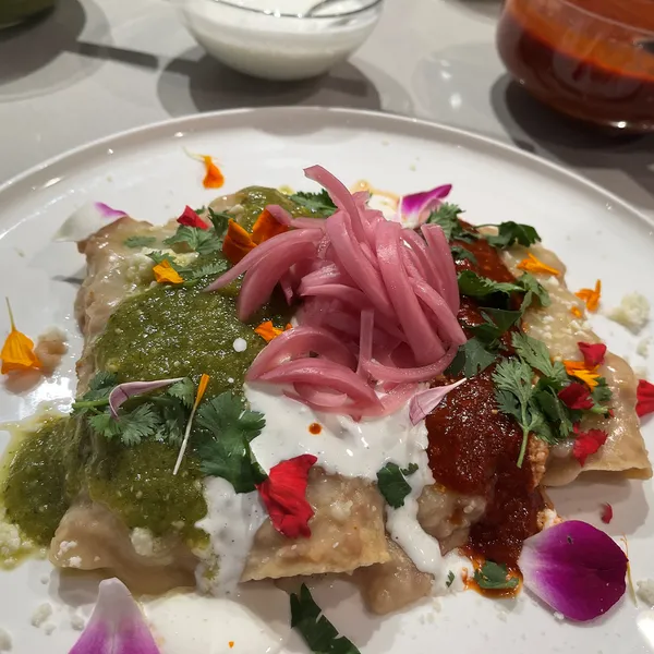 Enfrijoladas dish with tortillas covered in black bean sauce and topped with fresh herbs