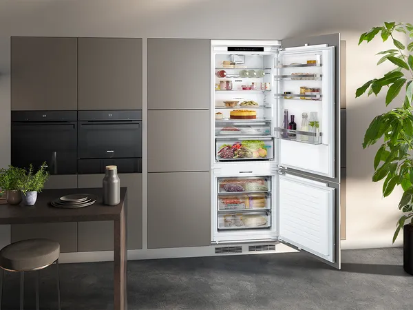 Réfrigérateurs et congélateurs intégrables