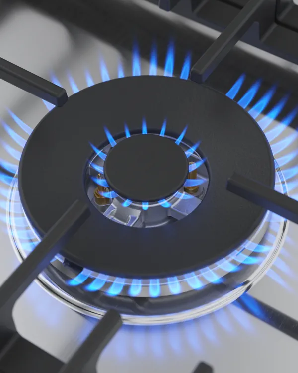 Gas Hob | Quick Start Guide