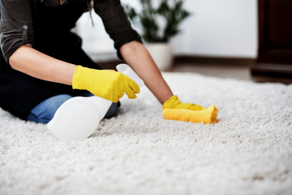 Image shows cleaning of a carpet