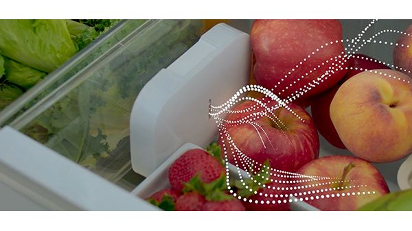 FreshProtect Nachfüllkit für den Kühlschrank 17007000 17007000-4